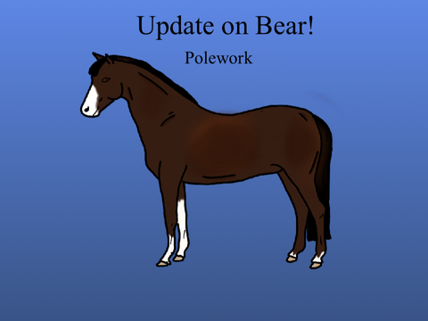 Update on Bear!
