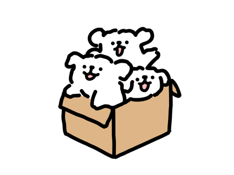 Maltese