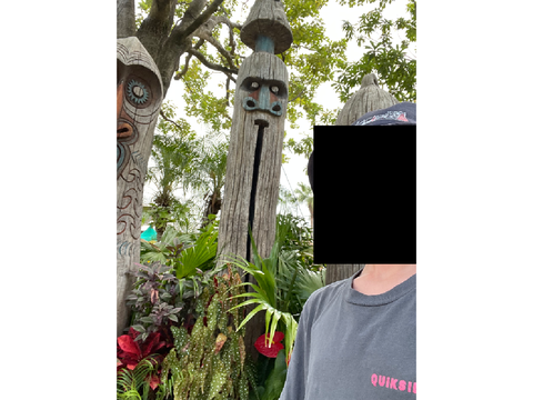 I went to Disneyland