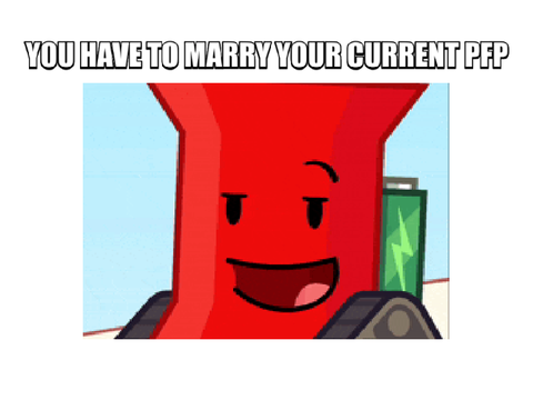You have to marry your pfp