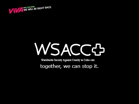 WSACC endcap (2011)