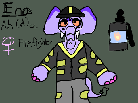 ANIMAL HOSPITAL OC // ENA the elephant
