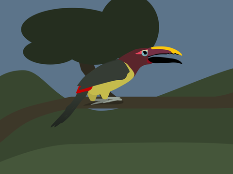 Green Aracari Vector