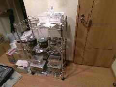僕の飼育場所