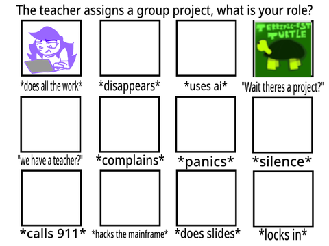 The teacher assigns a group project, what is your role? remix