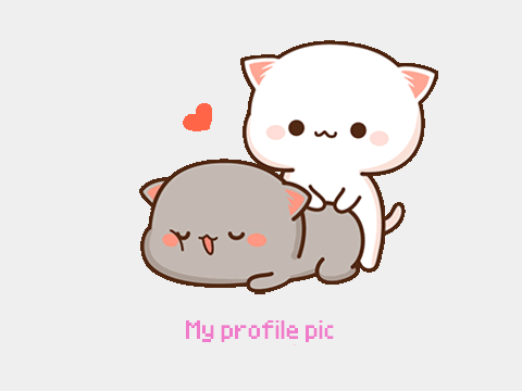 My profile pic