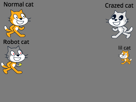 Crazed Project