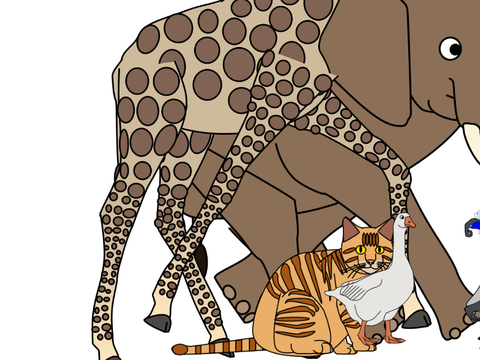 Turtle Interactive Animals Stampede