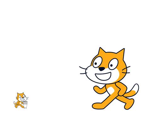 Baby Scratch Cat!!!