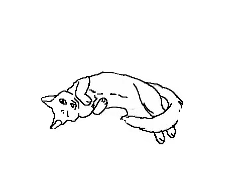 Cat CC (Open)