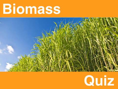 Biomass Quiz