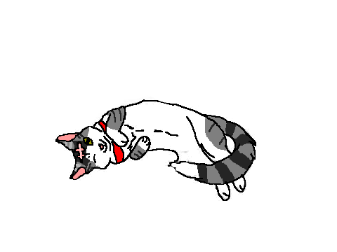 Cat CCE