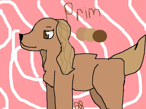Prim Refrence Sheet