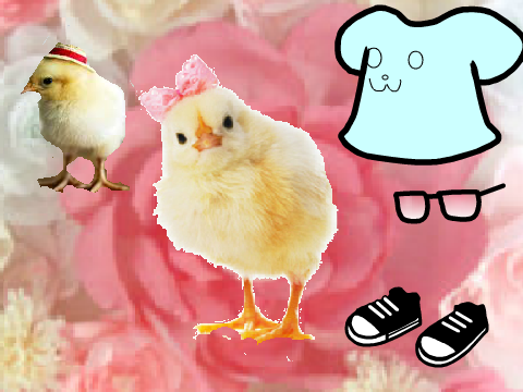 "Chick" in Dress 