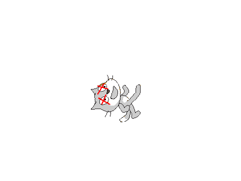 Dead sratch cat