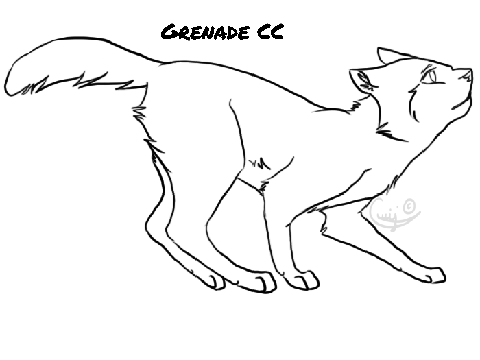 Grenade CC