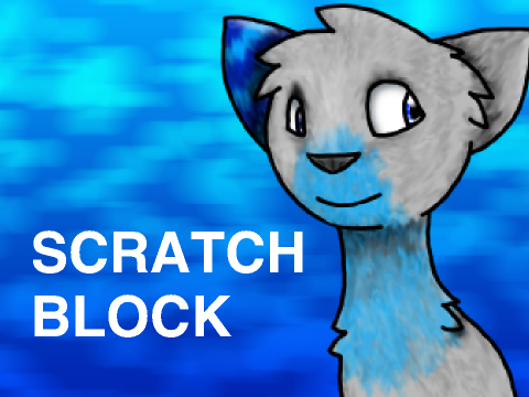 SCRATCH BLOCK