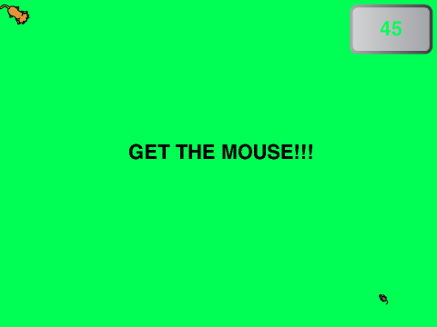 A Game of Cat and Mouse