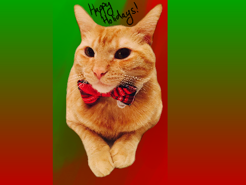 Happy Holidays From Bow-Tie Bink
