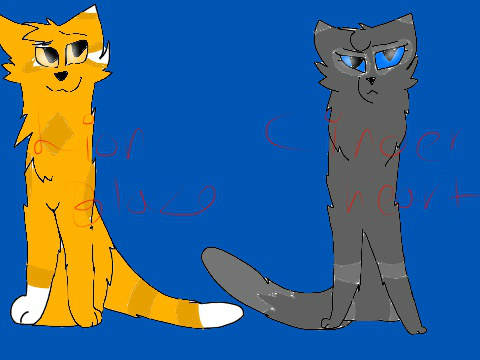 Lioblaze and Cinderpelt stuff