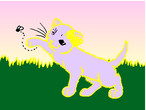 rainbow cat
