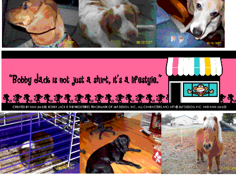 My Pets