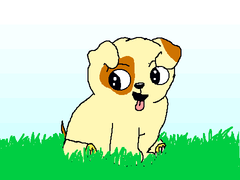 cookie the dog