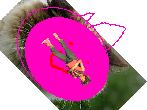 cat oc  