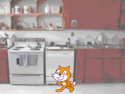 Kitten in Kitchen