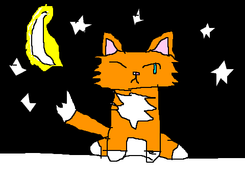 warrior cat drawing