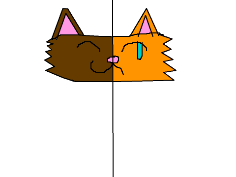 warriors cats