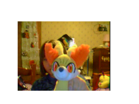 my new fennekin plush