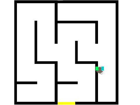 Task - left hand rule-maze solving 