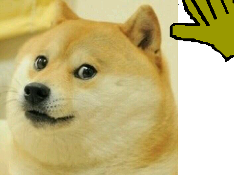 Pet a doge