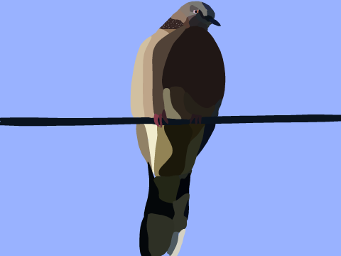Dove Art