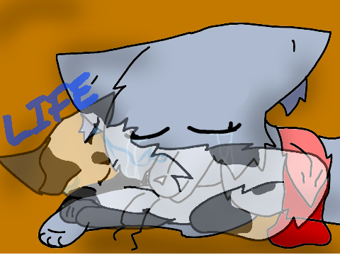 You ll Scripted Warriors ll PMV ll MAP part 8 