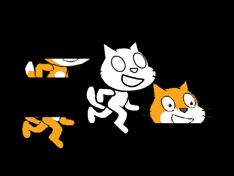 Cat Puzzle