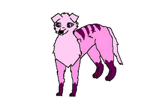 Free adopt (old) FCFS (closed)