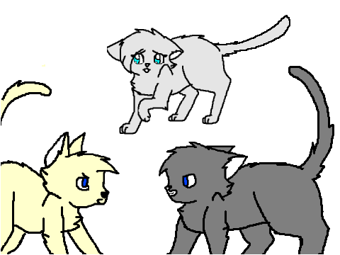 warrior cats fight