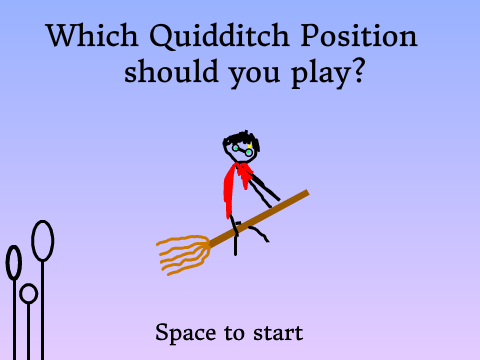 Which Quidditch Position should you play?