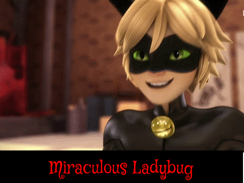 Goodbye Season 1- Miraculous