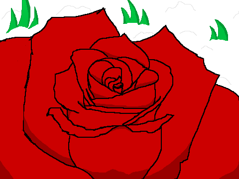 A Snowy Rose Drawing