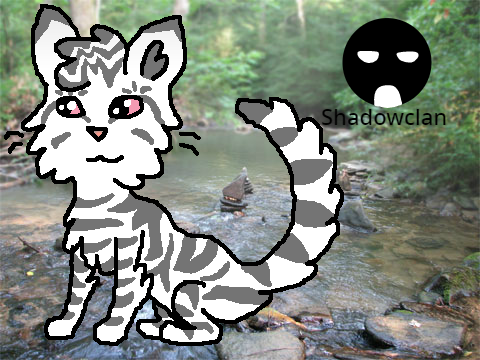 Ultimate Warrior Cat Generator || Version 1.1