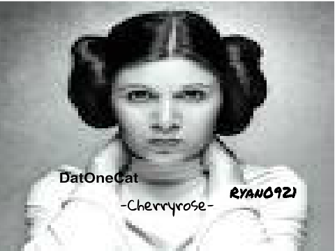 Sign here if you will miss Carrie Fisher remix 