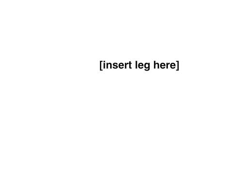 Leg