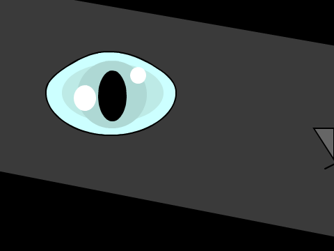 vector eye