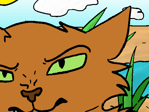 //26// Warriors M.A.P Crookedstar: Rusted from the Rain 