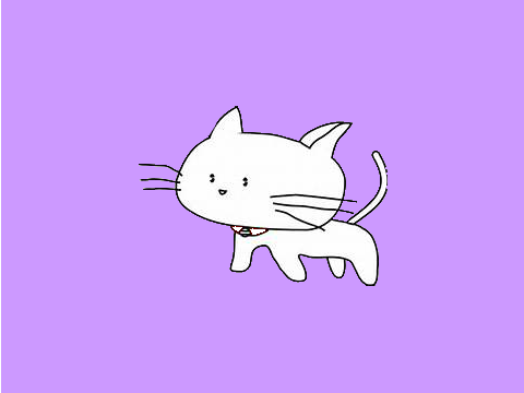 kitty competition