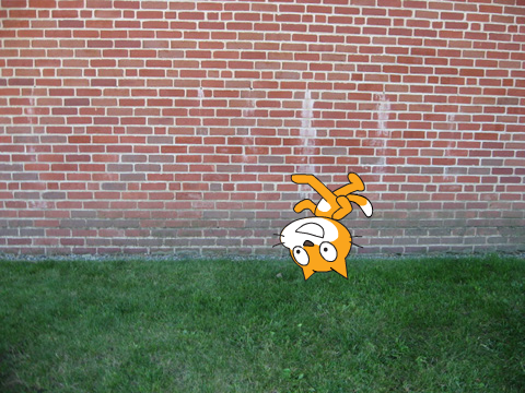 welcome to scratch