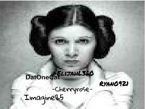 Sign here if you will miss Carrie Fisher remix  remix remix